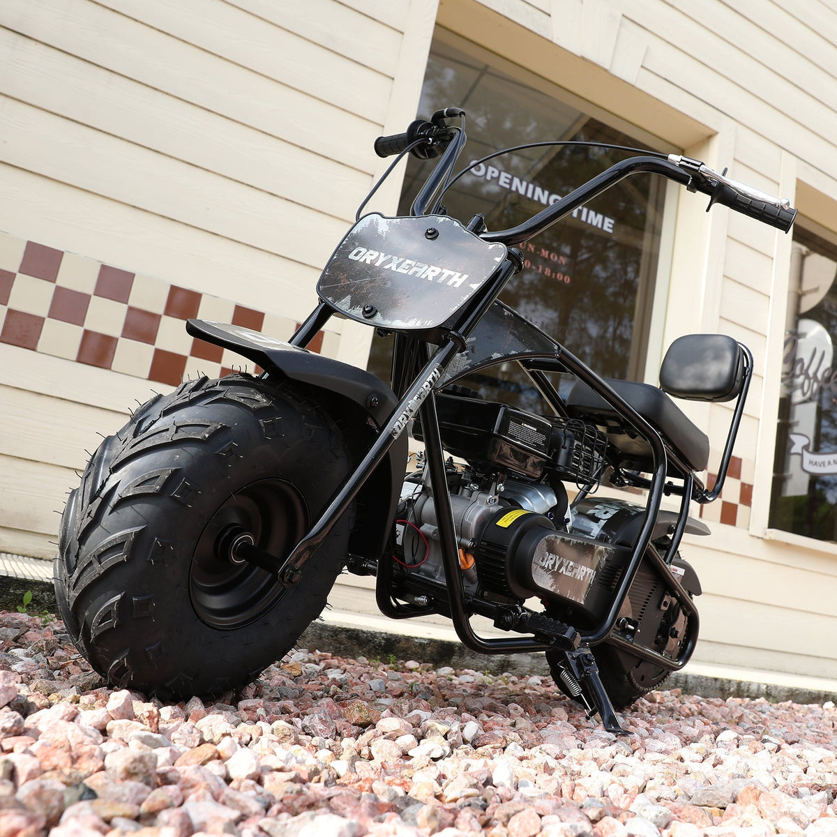 gas mini bike