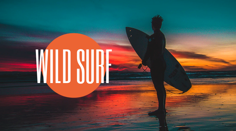 Catch the Surf: Choosing the Perfect Surfboard