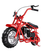 Oryxearth Gas Mini Bike for Kids