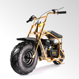 BRM100 Gas Mini Bike-Gold | Limited Edition,Top Speed 28 MPH