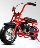 Oryxearth 37.7CC Mini Dirt Bike, 4-Stroke Gas Power 16 mph Bike,Off Road for Teens, Pull Start