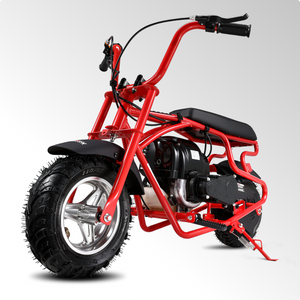 Oryxearth 37.7CC Mini Dirt Bike, 4-Stroke Gas Power 16 mph Bike,Off Road for Teens, Pull Start