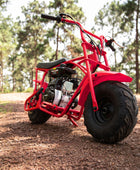 Oryxearth 105CC 4-Takt-Offroad-Minifahrrad für Kinder