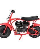 Oryxearth BRM200-1 196cc Gas Mini Bike, 35 MPH 4-Stroke Mini Dirt Bike, Off-Road Pit Bike for Adults & Teens, 220 lbs Max Load