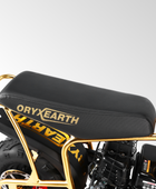 BRM100 Gas Mini Bike-Gold | Limited Edition,Top Speed 28 MPH