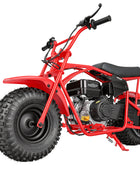 Oryxearth BRM200-1 196cc Gas Mini Bike, 35 MPH 4-Stroke Mini Dirt Bike, Off-Road Pit Bike for Adults & Teens, 220 lbs Max Load