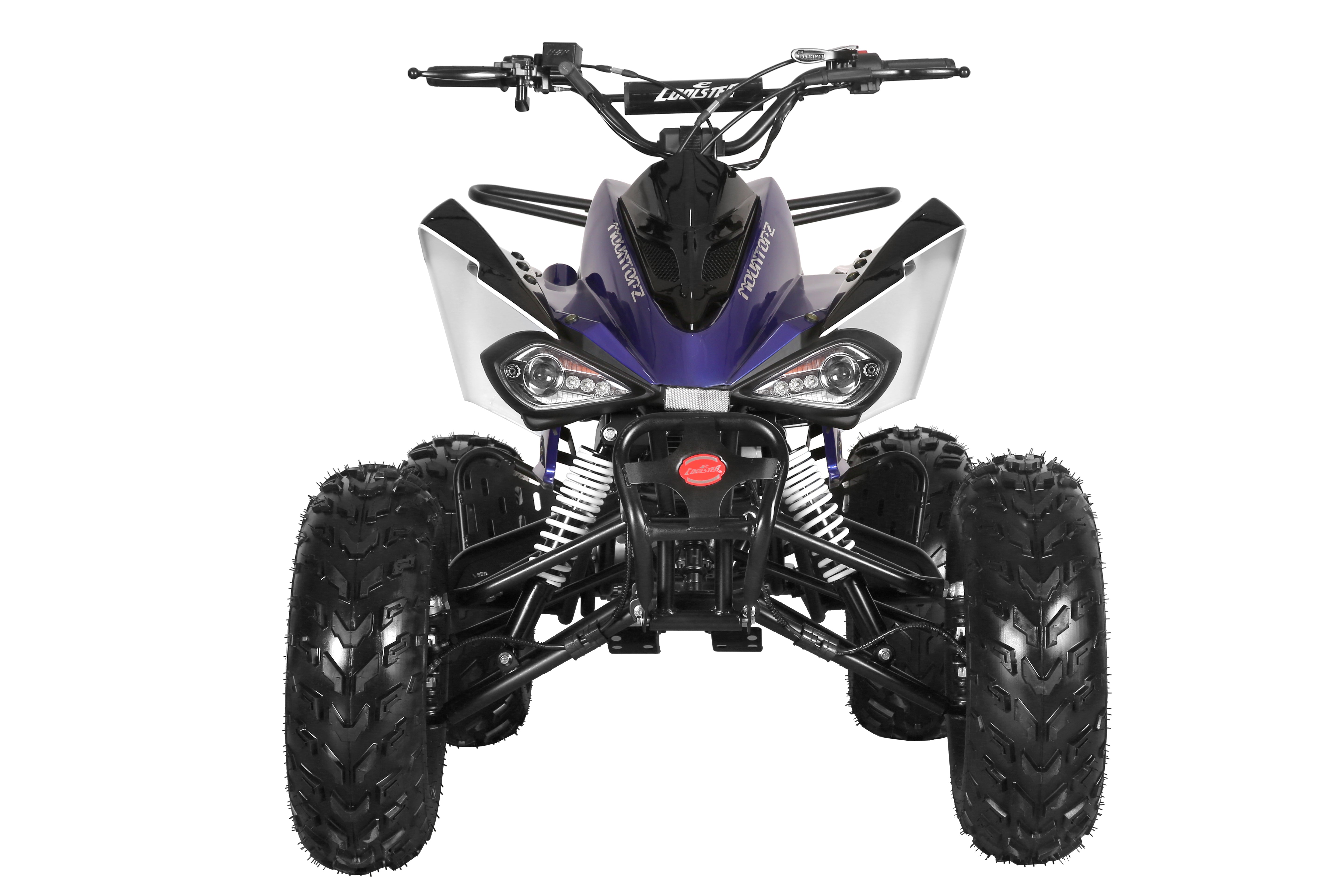 Coolster Gas ATV, 200CC 4-Stroke Mini Gas 4 Wheeler with Front and Rear Disc Brake, with Speed Control and LED Lights, Weight Support Up to 220 LBS, Max Speed 15mph